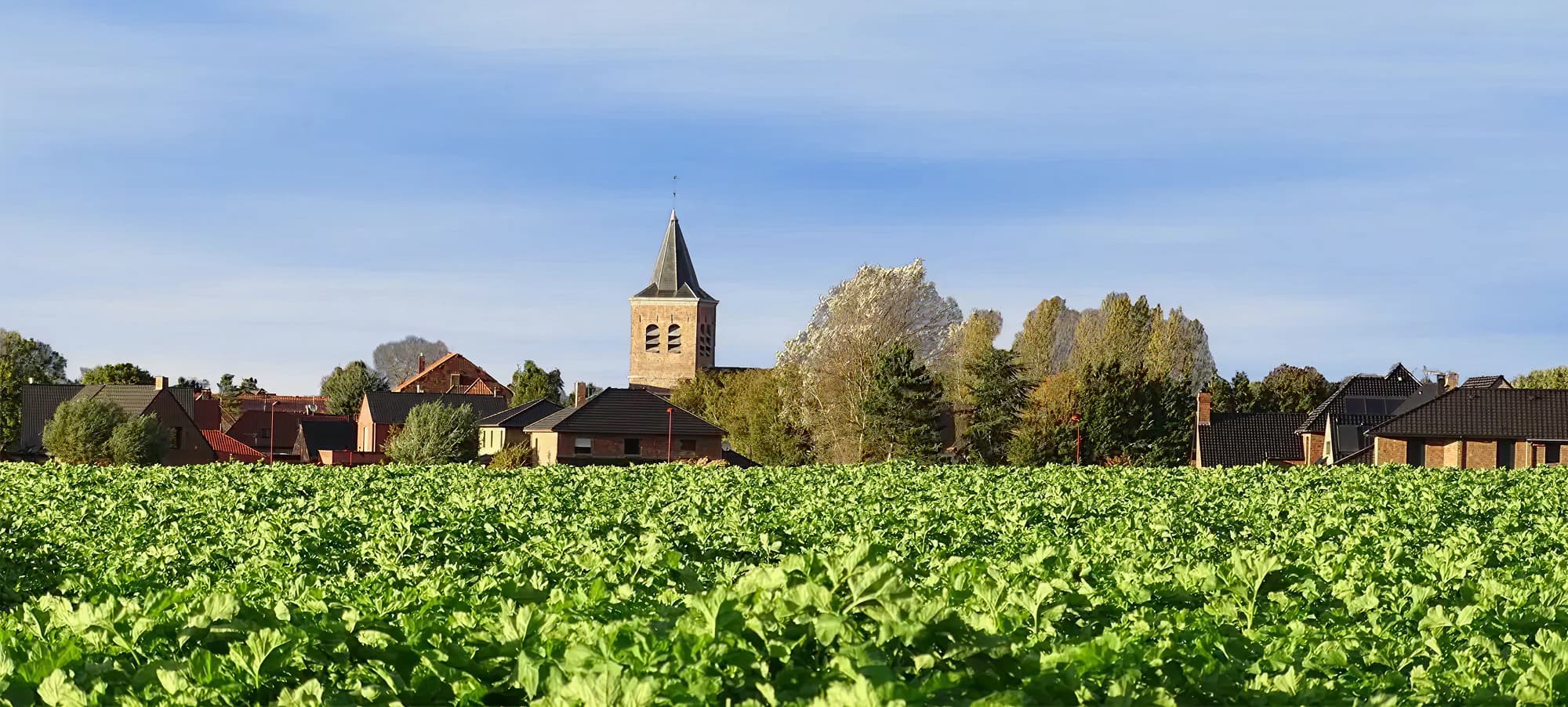 Camphin-en-Pévèle - Commune de la Pévèle